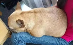 祼体美女自抠图